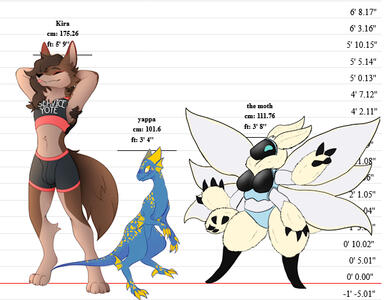 height reference